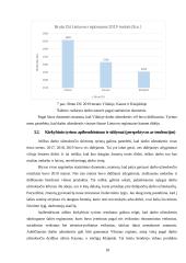 Darbo užmokesčio skirtumų lietuvos regionuose vertinimas. Referatas 18 puslapis