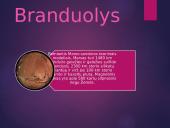 Marso paviršius, judėjimas, atmosfera, branduolys bei palydovai 6 puslapis