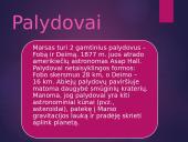 Marso paviršius, judėjimas, atmosfera, branduolys bei palydovai 7 puslapis