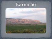 Pristatymas apie vienuolių ordiną (karmelitus) 4 puslapis