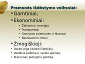 Pramonė ir pramonės išdėstymo veiksniai 12 puslapis