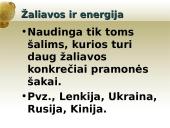 Pramonė ir pramonės išdėstymo veiksniai 13 puslapis