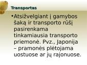 Pramonė ir pramonės išdėstymo veiksniai 15 puslapis