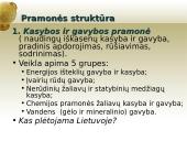 Pramonė ir pramonės išdėstymo veiksniai 4 puslapis