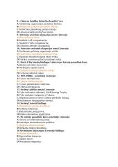 Istorijos  kontrolinis 2 puslapis