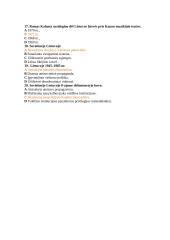 Istorijos  kontrolinis 3 puslapis