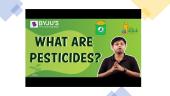 Pesticidai ir jų poveikis aplinkai 16 puslapis