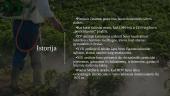 Pesticidai ir jų poveikis aplinkai 3 puslapis
