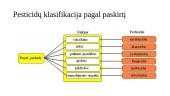 Pesticidai ir jų poveikis aplinkai 5 puslapis
