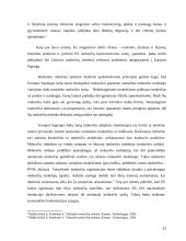 ES mokesčių harmonizavimas 11 puslapis