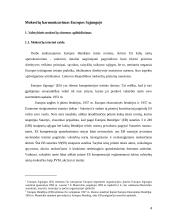 ES mokesčių harmonizavimas 4 puslapis