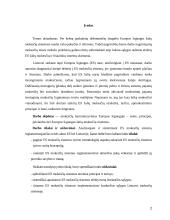 ES mokesčių sistemos bruožai 2 puslapis