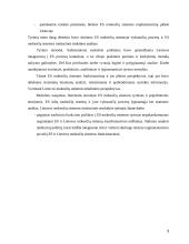 ES mokesčių sistemos bruožai 3 puslapis