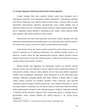 Gyventojų pajamų apmokestinimas Lietuvai integruojantis į ES 12 puslapis