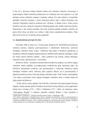 Gyventojų pajamų apmokestinimas Lietuvai integruojantis į ES 9 puslapis