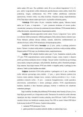  PRIDĖTINĖS VERTĖS MOKESTIS (PVM) referatas 5 puslapis