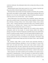 Gyventojų pajamų apmokestinimas 15 puslapis