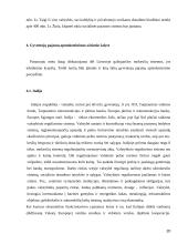 Gyventojų pajamų apmokestinimas 20 puslapis