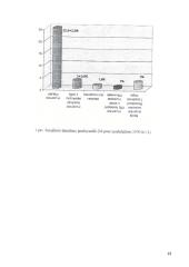 Sodros biudžetas 13 puslapis