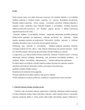 Valstybės biudžeto sandara referatas 2 puslapis