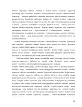 Valstybės biudžeto sandara referatas 12 puslapis