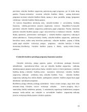 Valstybės biudžeto sandara referatas 13 puslapis