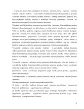 Valstybės biudžeto sandara referatas 6 puslapis