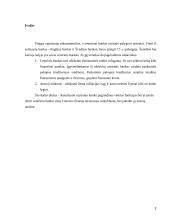 Lietuvos bankas kaip finansų teisės subjektas 2 puslapis