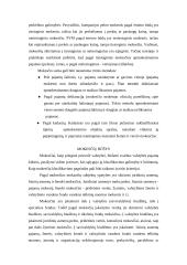 Mokesčiai ir jų rūšys 11 puslapis