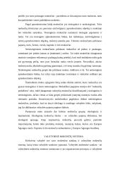 Mokesčiai ir jų rūšys 13 puslapis