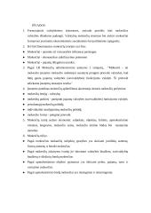 Mokesčiai ir jų rūšys 16 puslapis