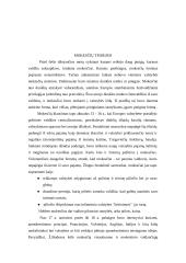 Mokesčiai ir jų rūšys 3 puslapis