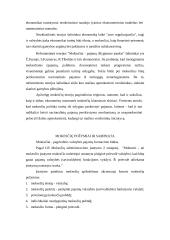 Mokesčiai ir jų rūšys 6 puslapis