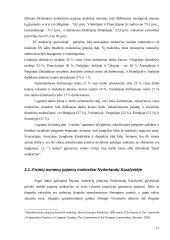 Gyventojų pajamų mokestis LR ir kitose šalyse 17 puslapis