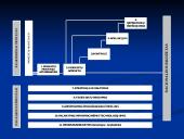 Mokestiniai ginčai ir kitos mokesčių mokėtojų pažeistų teisių gynimo procedūros 18 puslapis