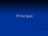 Mokestiniai ginčai ir kitos mokesčių mokėtojų pažeistų teisių gynimo procedūros 20 puslapis