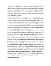 Nuomos bei kitų sutarčių mokami mokesčiai 7 puslapis