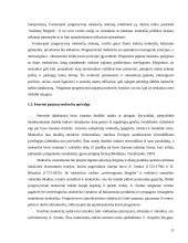 Gyventojų pajamų progresinis apmokestinimas 11 puslapis