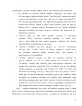 Gyventojų pajamų progresinis apmokestinimas 12 puslapis