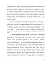 Gyventojų pajamų progresinis apmokestinimas 13 puslapis