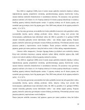 Gyventojų pajamų progresinis apmokestinimas 18 puslapis