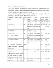 Gyventojų pajamų progresinis apmokestinimas 19 puslapis