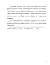 Gyventojų pajamų progresinis apmokestinimas 4 puslapis