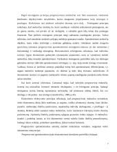 Gyventojų pajamų progresinis apmokestinimas 7 puslapis