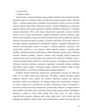 Gyventojų pajamų progresinis apmokestinimas 8 puslapis