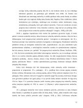 Gyventojų pajamų proporcinis apmokestinimas 13 puslapis