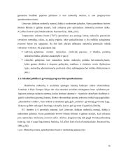 Gyventojų pajamų proporcinis apmokestinimas 16 puslapis