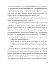 Gyventojų pajamų proporcinis apmokestinimas 19 puslapis