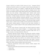 Gyventojų pajamų proporcinis apmokestinimas 7 puslapis