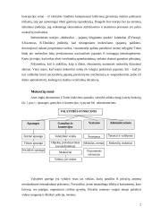 Apmokestinimo teoriniai pagrindai konspektas 2 puslapis